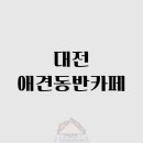 웰페어숍 | 🐶 대전에서 강아지와 함께하는 힐링 카페 투어! 애견동반 카페 추천 7선 🐾