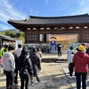 남해군장애인체육회 한마음걷기대회 (11월 7일) 이미지