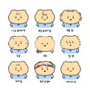 내머리어때 이미지