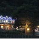 반디네허브펜션 네이버블로그