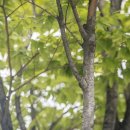 주식회사 더가람 이미지