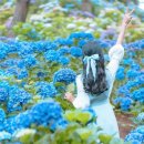 큰고개목장 이미지