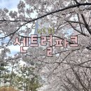 파크애 | 송도 센트럴파크 인천벚꽃명소 벚꽃비 맞으러 가자!