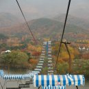 만추의 서울대공원...(상편) 이미지