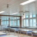 밀양초등학교 이미지