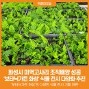 배양가든