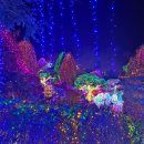 별빛정원 이미지