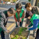 용산2동주민센터 이미지