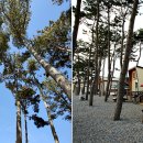 어은돌리솜펜션 이미지