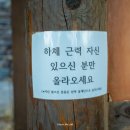 자연속으로 | 경남 산청 방목리 감성카페, 자연 속 힐링 카페 후기