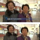 채선농장 | 한 가을밤의 꿈같은 사우나 후기