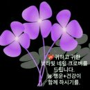 우박집(영등점) 이미지
