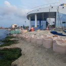 포항 송도해수욕장 바다시청, 태풍오면 어쩌나 이미지