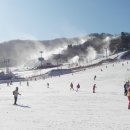 휘닉스 파크 이미지