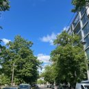 리오 비스트로 이미지