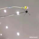 독수리정형외과의원 이미지