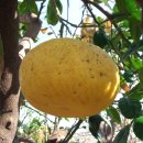 버스정류소_위미문화의집 이미지