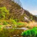 남산정미소 이미지