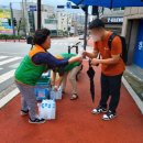 그늘막26 이미지