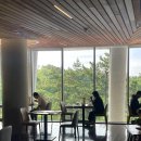 제주 히든클리프 호텔 조식 내돈내산 후기 | 조식 시간, 가격