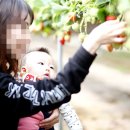 강진IC주유소