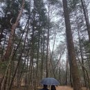 금강금속도금㈜ | [공지] 🕊️평창 월정사와 오대산 박물관 마을☃️(25.12.21)