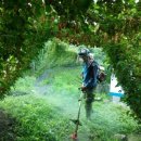 음지농장 이미지