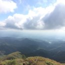 소백산약국 이미지