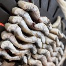 왕돌판민물장어 - 12499 | 삼산동 왕돌판민물장어구이 내돈내산 후기, 가정의 달 몸보신 외식으로 다녀온 곳