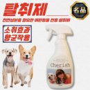 체리쉬 - 시흥시 매화마을1길 7 | 체리쉬