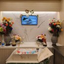 반려마루 동물병원 이미지