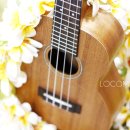 알로하~우쿨렐레 이미지