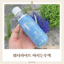 비긴스제주 | 워터라이트 마시는수액, 아이와 함께 챙기는 맛있는 수분보충 루틴 후기