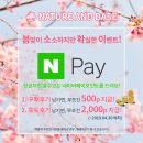 팜앤네이처