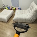 달과고양이 | 펫펍 브러쉬 한달 사용 후기 (고양이 털 빠짐 감소, 내돈내산)