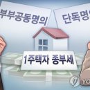 부부 공동명의 등 종부세 합산배제·특례 9월 신청 이미지