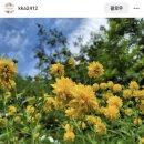 산야초영농조합 | 삼잎국화 꽃모종 심기, 봄맞이 화단 정리