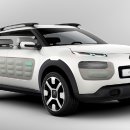 칵투스 아일랜드 이미지