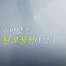 꼬리연구소 이미지