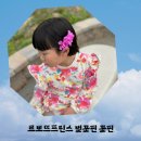 르뽀뜨프린스