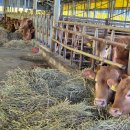 김선태농장 이미지