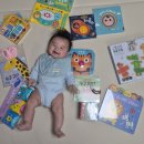 오감톡톡영어그림책놀이 | [아기 책 추천] 4개월부터 보기 좋은 첫 전집 - 블루래빗 오감발달 (내돈내산 후기)