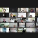 해,바람 이미지