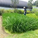 꽃초롱자연학습장 이미지