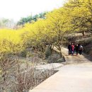 영미 이미지
