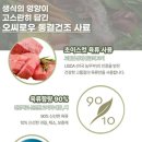 오씨채소