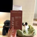 현동물병원 | 노견영양제 사료추천 | 슬로울리라이프 내돈내산 노견사료솔직후기 | 강아지심장영양제 | 노견거위소리