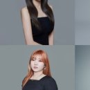 다오헤어 이미지