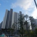 판교타워공인중개사사무소 이미지