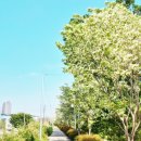 달서천로 이미지